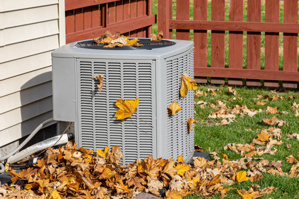 Best HVAC system installation  in Port Isabel, TX